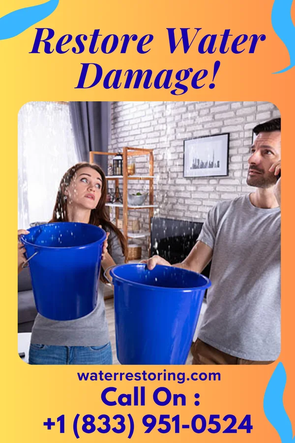 water restoration Global Sewage Cleanup Morton