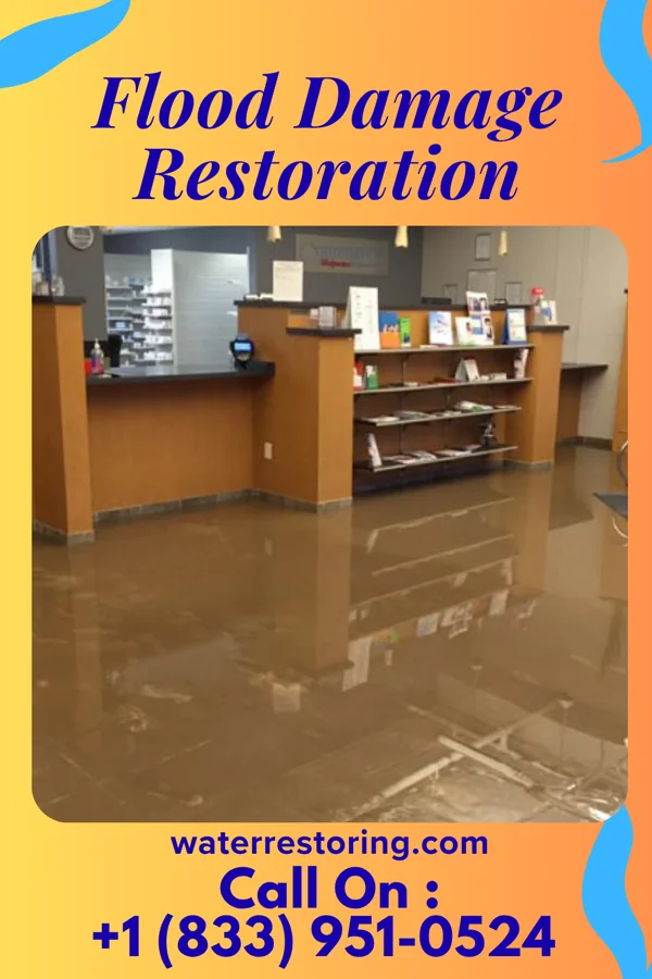 Flood Damage Restoration in Morton, TX